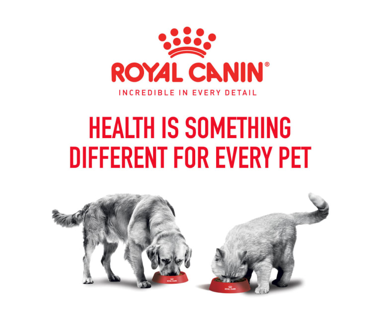 Is royal canin a good brand cheap